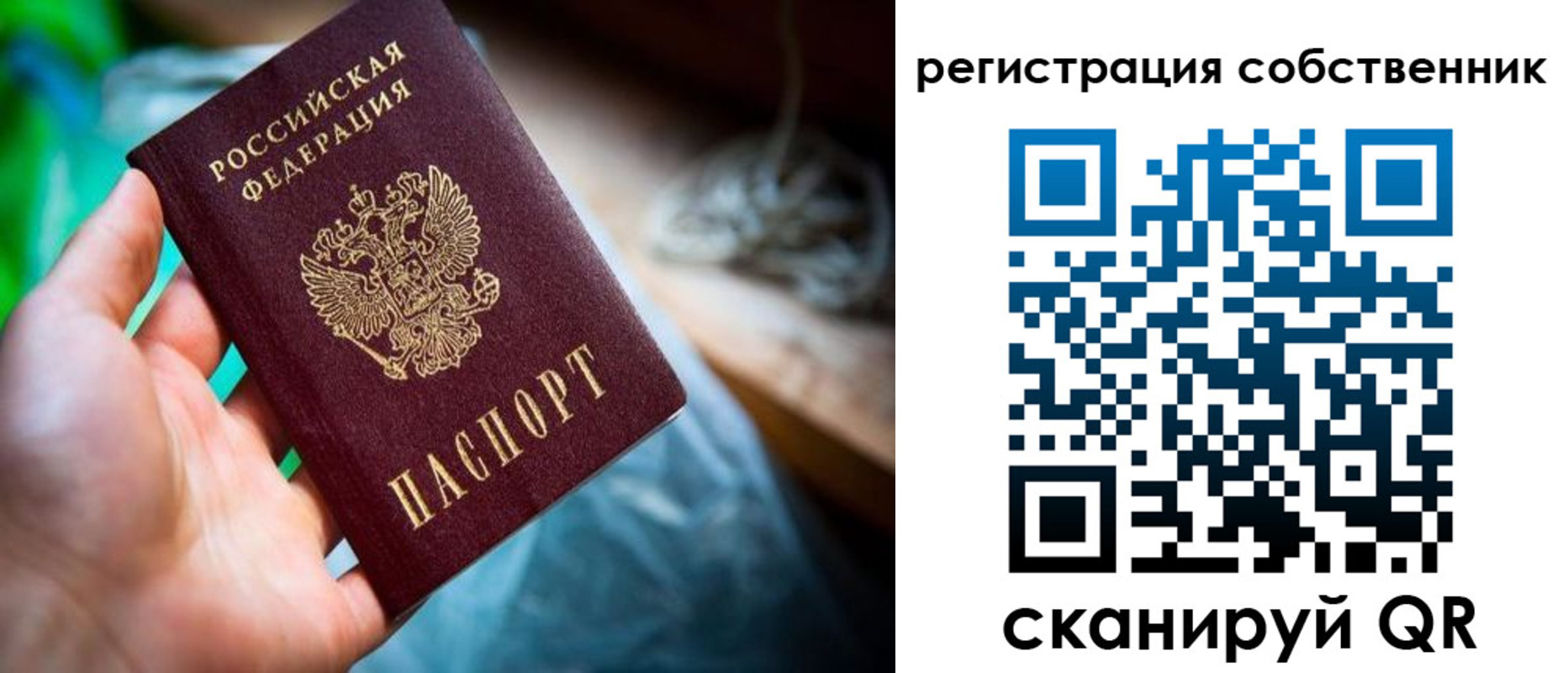 прописка гарантия в Зеленодольске